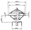 DEUTZ FAHR 01172668 Thermostat, coolant